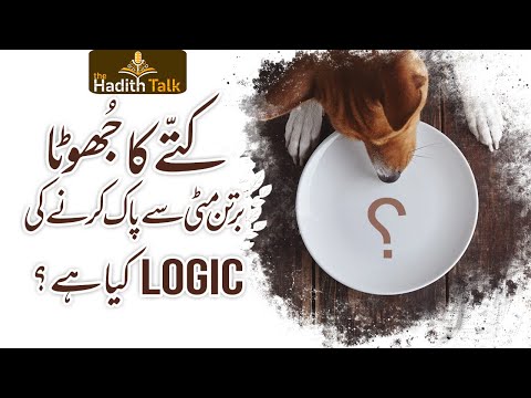 Kutte Ka Jhota bartan... the hadith tal!!کُتے کا جھوٹا برتن مٹی سے پاک کرنے کی Logic کیا ہے؟!!