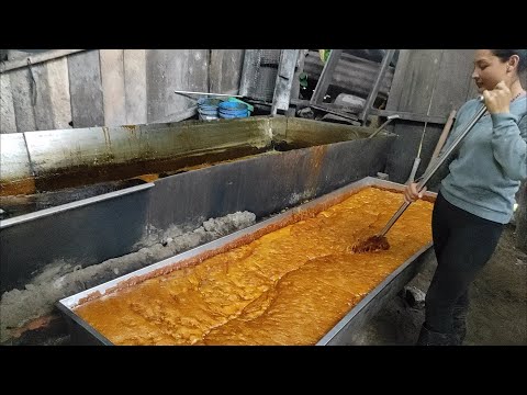 PROCESO DE LA PANELA EN POLVO con  (Elizabeth Viteri 🇪🇨💪) lo Dulce de la Naturaleza