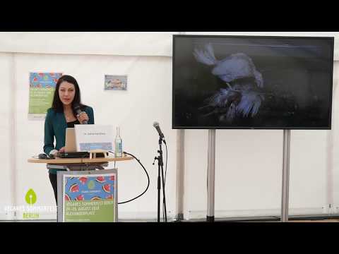 Tierqual aufgedeckt - und was dann? - Dr. Katharina Weiss