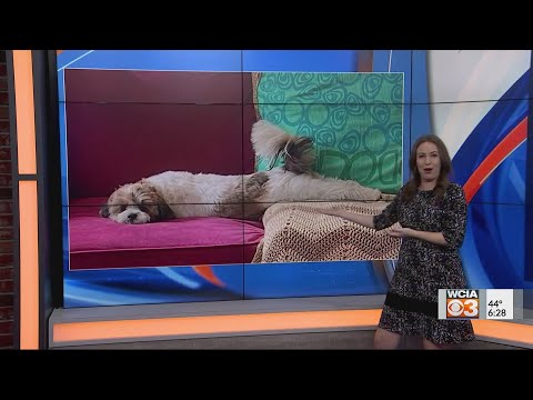 Bright spot 6 pm 11/4/2021