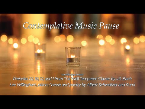Contemplative Music Pause 7 - Lee Willingham