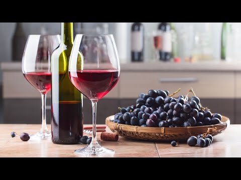 Wine tour in Bratislava