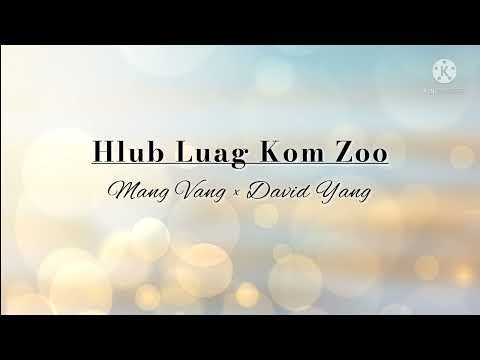 Hlub Luag Kom Zoo - David Yaj & Mang Vaj (lyrics)