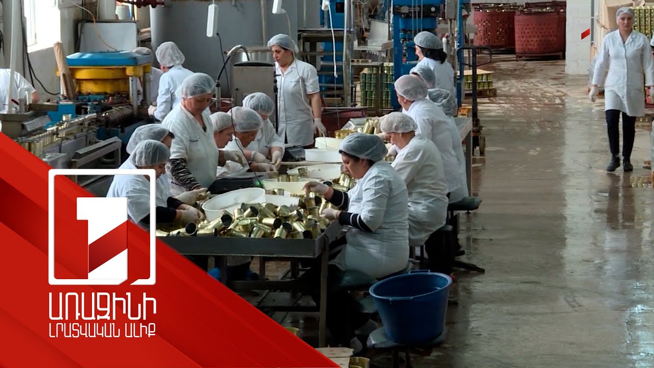 Զբաղվածության 2025-2031 թթ. ռազմավարական ծրագիրը կհաստատվի մինչև տարեվերջ