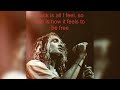 Alice In Chains - Am I Inside (lyrics)