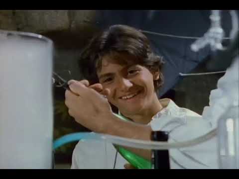 EL ZORRO DE LOS 90  capitulo 11 "La leyenda comienza: parte 4"