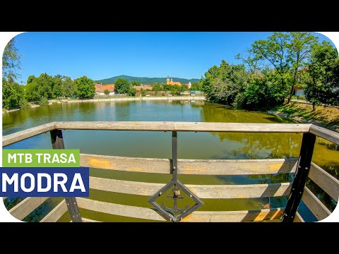 Poľné Cyklotrasy v Okolí Modry s Očarujúcimi Miestami a Zverou│Tip na Cyklovýlet aj pre GRAVEL