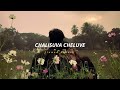 Chalisuva Cheluve Slowed Reverb Soul Vibez