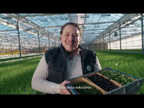 Hej Hortonom | Microörter