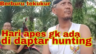 Download lagu berburu tekukur hari apes gk ada di daptar hunting mp3 Download lagu berburu tekukur hari apes gk ada di daptar hunting mp3