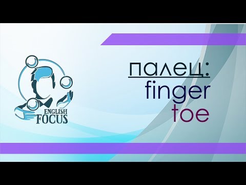 Пальцы - fingers, toes