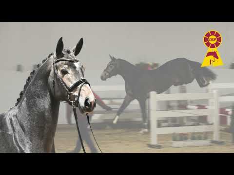 15 Cornet de Semilly / Christian