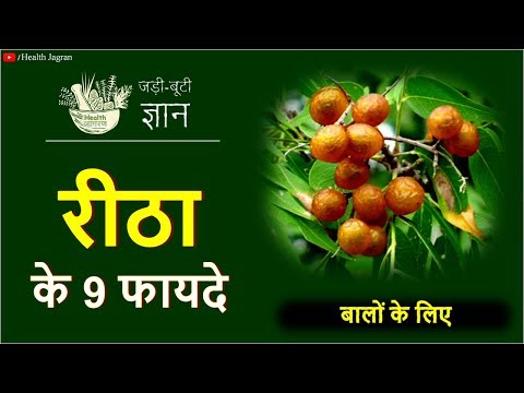 रीठा के फायदे | Sapindus Mukorossi/Reetha Benefits for Dandruff, Lice Treatment & Hair Growth