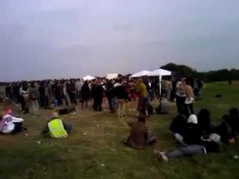 Insane Creatures (live at California Sun)