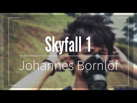 JULIEN BAM HINTERGRUNDMUSIK #15 (Skyfall 1 - Johannes Bornlöf) [FREE]