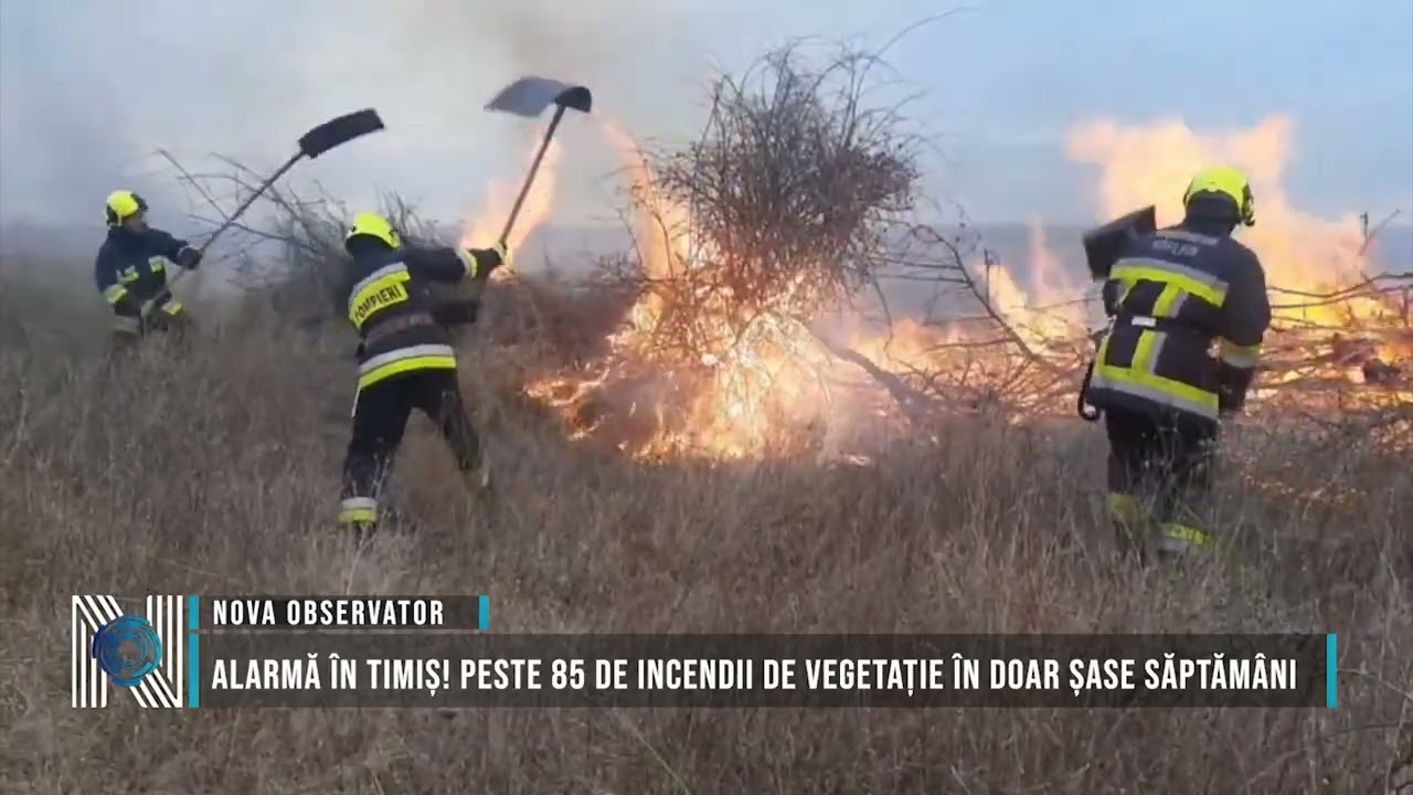 Alarmă în Timiș! Peste 85 de incendii de vegetație în doar șase săptămâni
