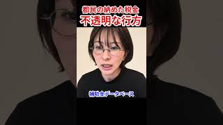 【東京都】血税の使い道は非公表　#さとうさおり #東京都 #減税党 #補助金