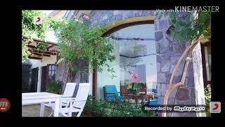 Hanish gupta -Jaan leni/whatsapp status/subscribe for more