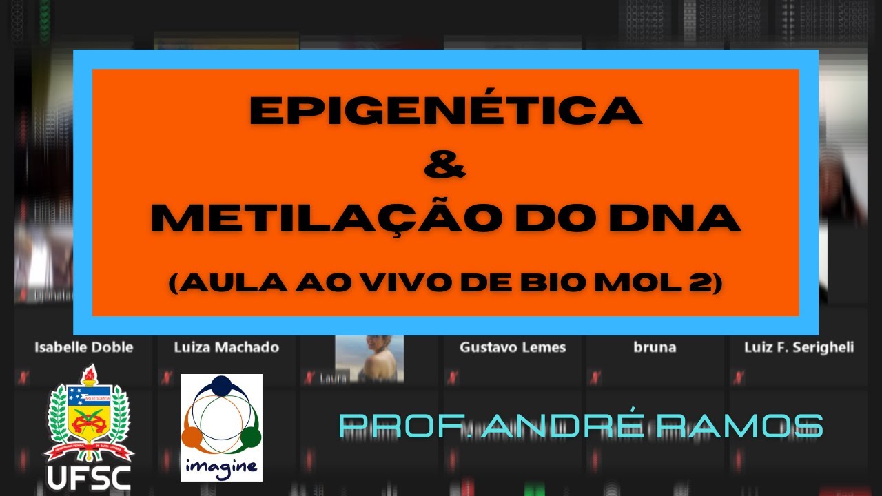 Epigenética e metilação do DNA