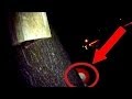 Haunted Annabelle Doll Caught on Tape! 