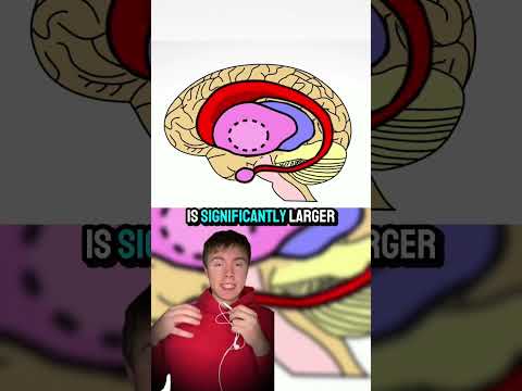 He remembers his entire life with 100% accuracy! 🤯