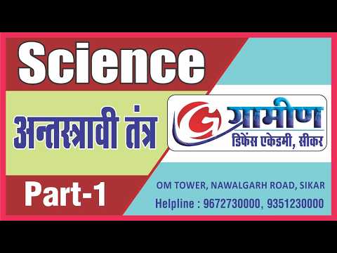 Video 7