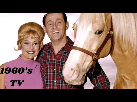 Mister Ed — The Talking Horse TV Show Story