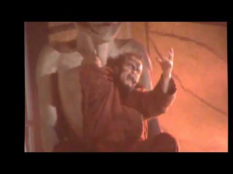 "Ali in gabbia, occhi selvaggi" - Notre Dame de Paris - Giordano Gambogi