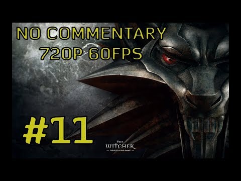 The Witcher: Enhanced Edition #11