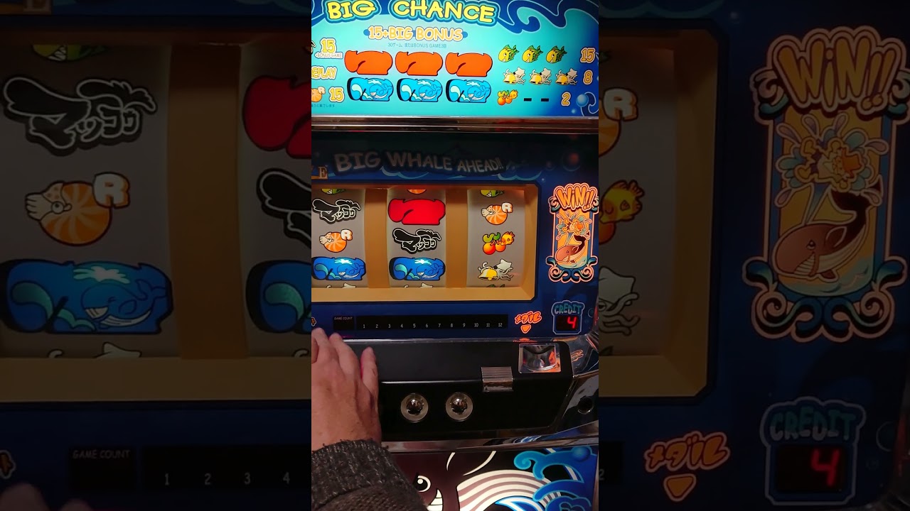 マッコウ（エイペックス）　告知～BIG