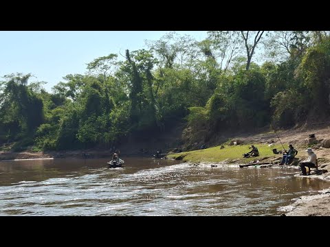  PESQUEIRO CAPELINHA : Dia 01: Primeira vez pescando no Capelinha Rio Miranda 
