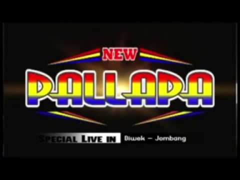 Kasih Sayang   Mr Denan   New Pallapa Cukir Gebang Diwek Jombang 2015