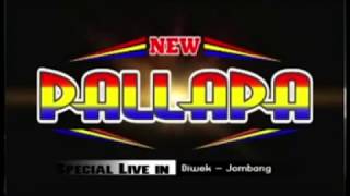 Download lagu Kasih Sayang Mr Denan New Pallapa Cukir Gebang Diwek Jombang 2015 mp3 Download lagu Kasih Sayang Mr Denan New Pallapa Cukir Gebang Diwek Jombang 2015 mp3