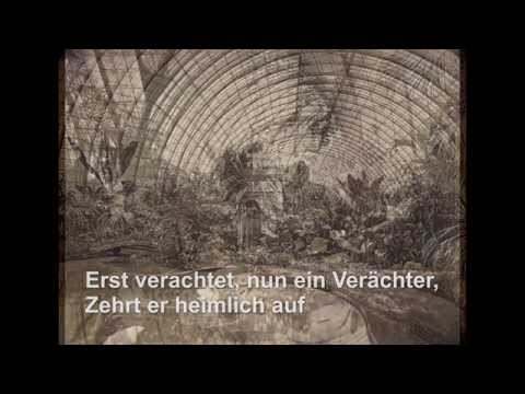 LEO GARDA countertenor【Brahms op.53】Goethe -Harzreise im Winter