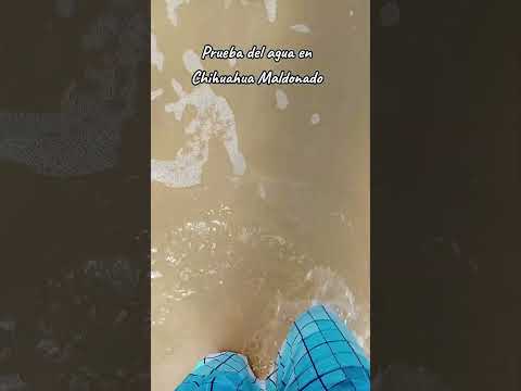 Playa Chihuahua Maldonado Uruguay