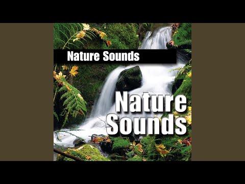 Gentle Trickling Water