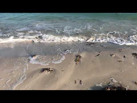 (UAE) Wave at the beach in Abu-Dabhi_181208_1