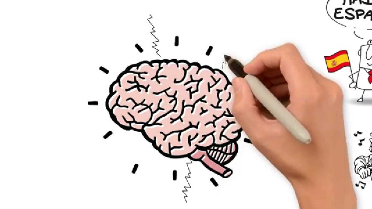 Neuroplasticidade e inteligência emocional