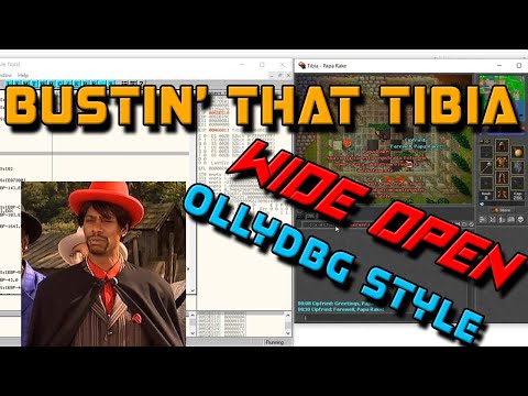 Tibia Packet Reverse Engineering Tutorial 1/3