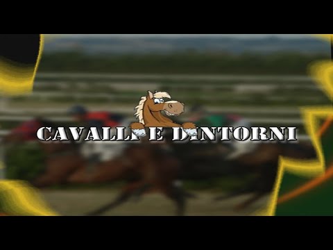 Cavalli & Dintorni Galoppo del 29 Agosto 2020