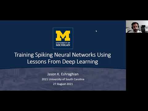 Training Spiking Neural Networks Using Lessons From Deep Learning