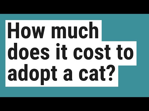 How much does it cost to adopt a cat?