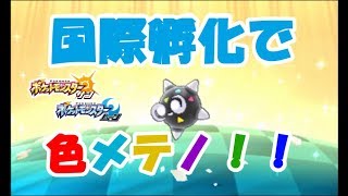 メテノ ポケットモンスター サメハダー チコリータ アブリー