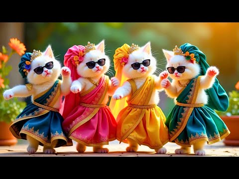 बिल्ली डांस | Cutest Cat videos funny dance🤣💃Videos for cats #funny #dancingcat #cat @Meow_cat99