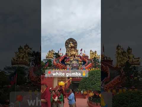 #whitegumba🕊️#kathmandu#Nepal ❤️🇳🇵🇳🇵🇳🇵
