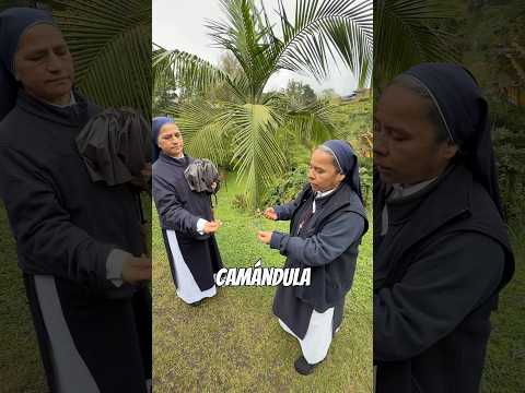 👌🏼Mira la casa de María en guarne Antioquia #catolicos #catequesiscatolicas #jesus #jesus