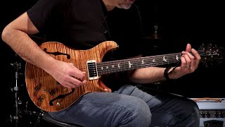 Video thumbnail for PRS Guitars Wood Library Hollowbody II - Brazilian Rosewood  •  SN: 18257323 by Wildwood Guitars