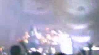 thoughts without words shadows fall