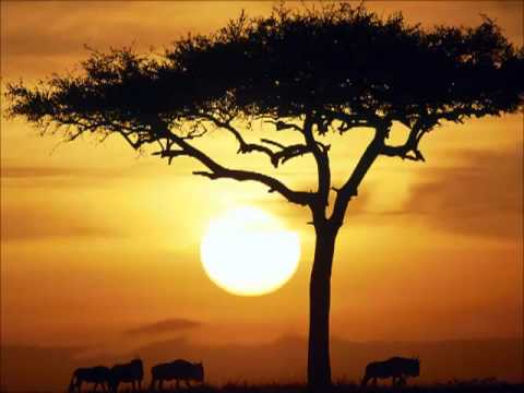 Vicky Sampson - African Dream