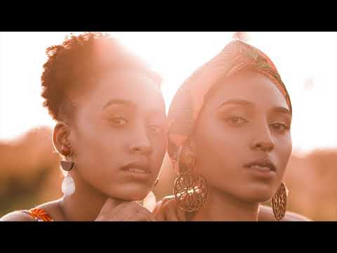 Ametronik Feat. Sonia Alvarez - The Lesson (Original Mix)